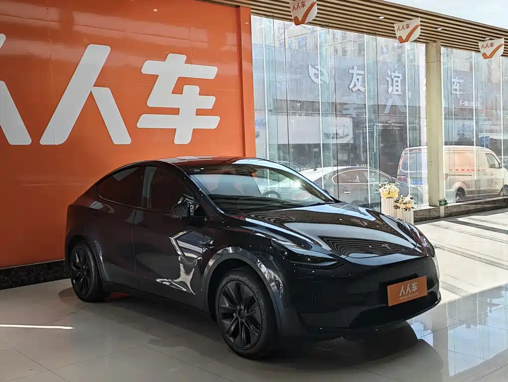 Tesla Model Y — миниатюра 3