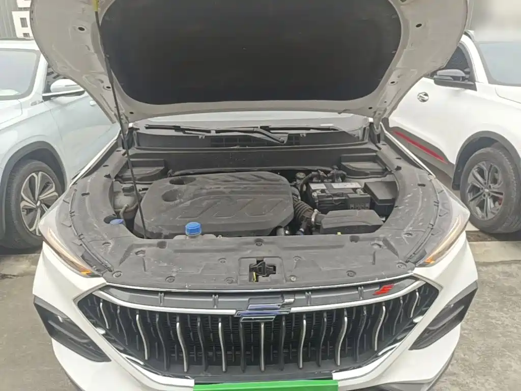 Oshan Oushang X5 — миниатюра 20
