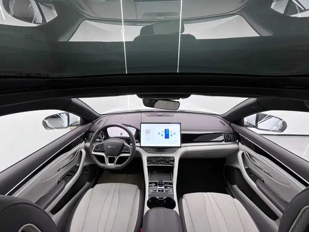 BYD PLUS New Energy — миниатюра 5