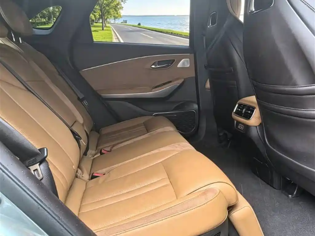 Aion LX 2019 80
