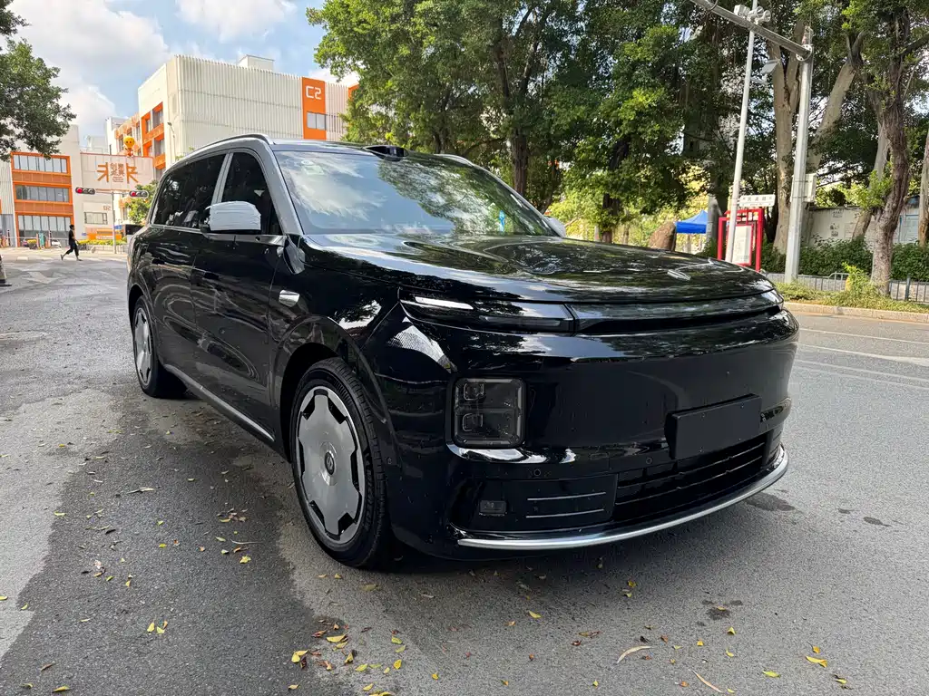 Leapmotor Leapmotor D19 — миниатюра 2