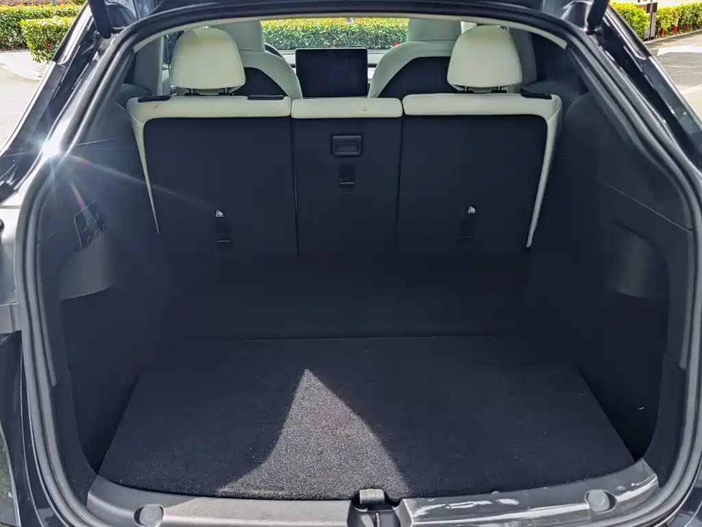 Tesla Model Y — миниатюра 6