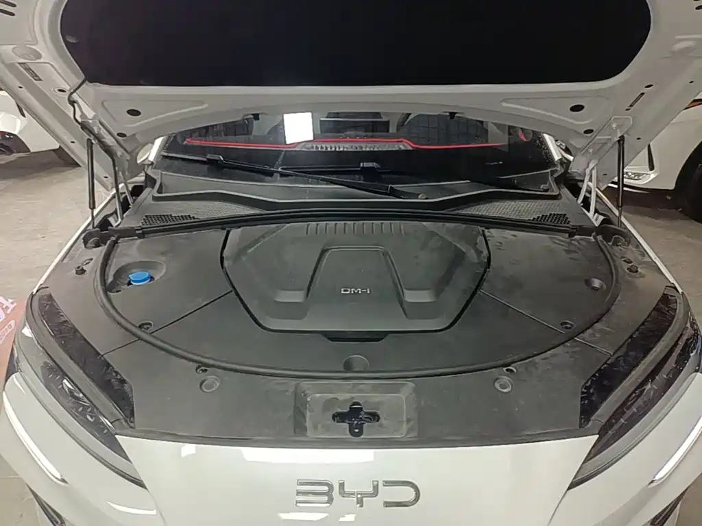 BYD PLUS New Energy — миниатюра 20