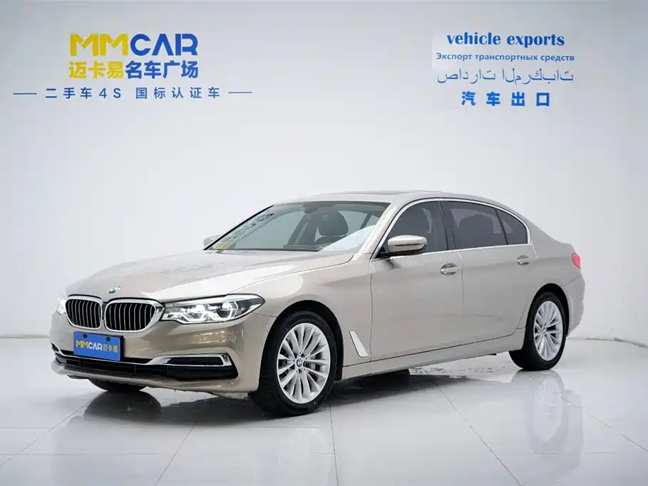 BMW 5 Series 5 2019 530Li Premium Luxury