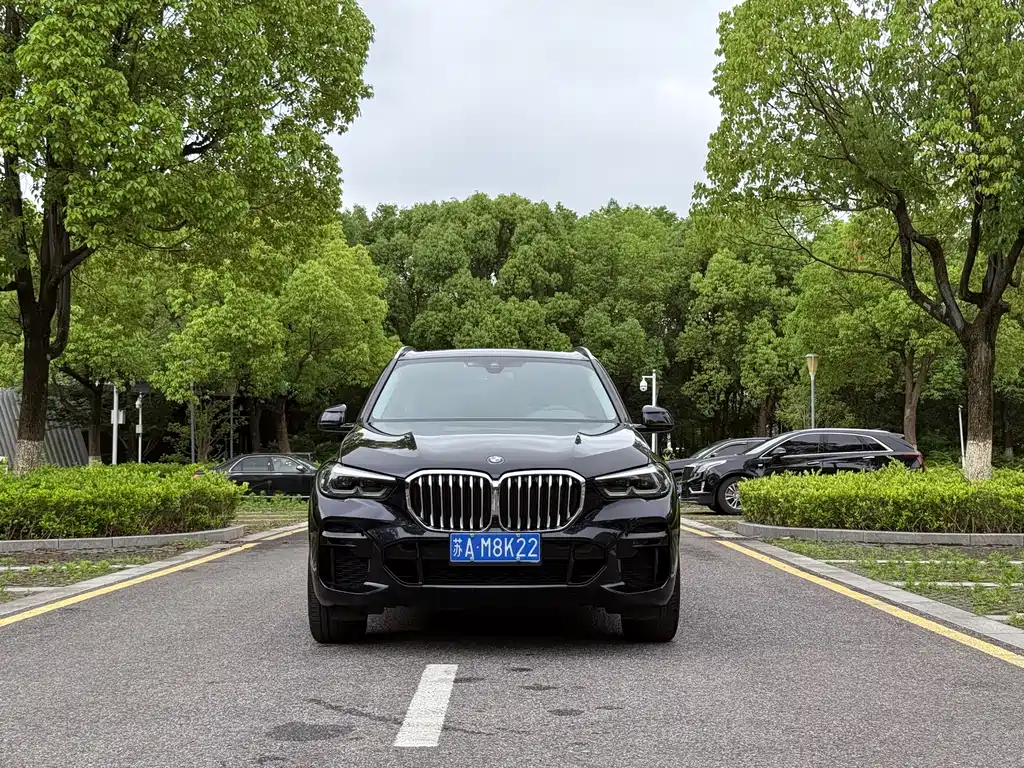 BMW X5 2022 xDrive30i M Sport