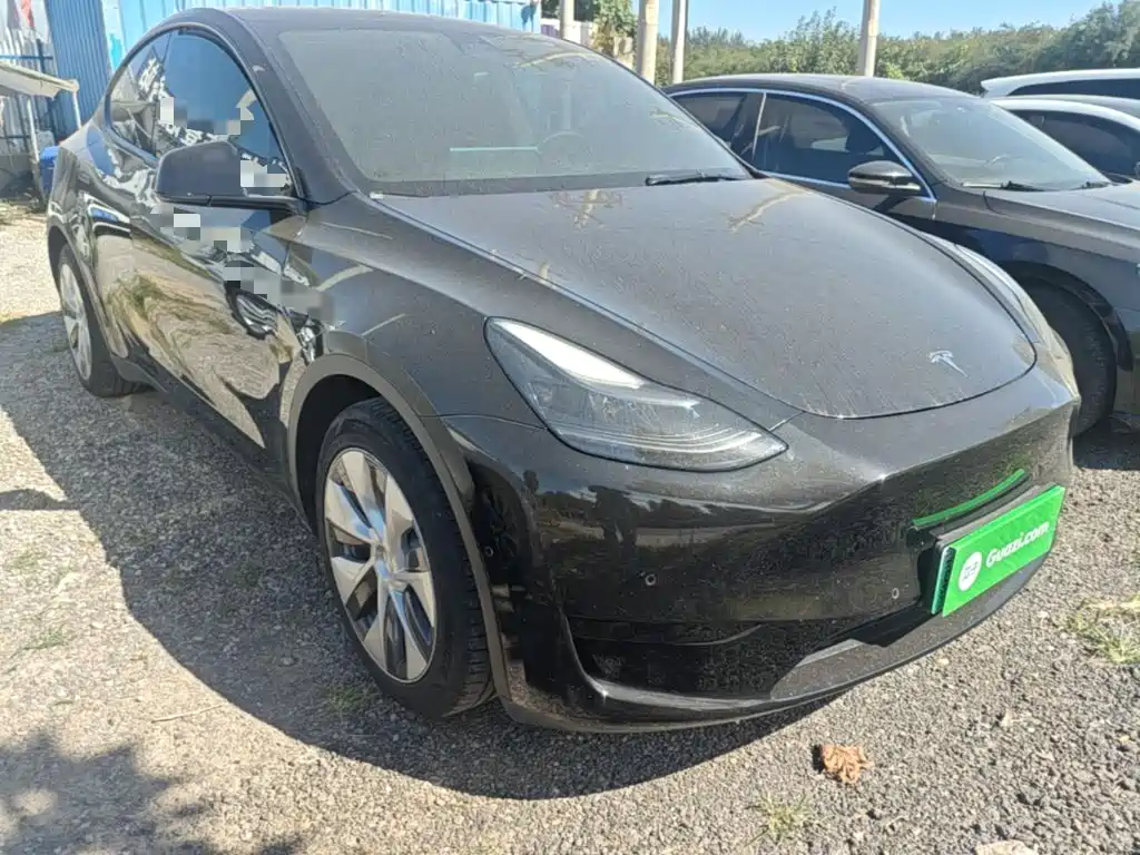 Tesla Model Y — миниатюра 4