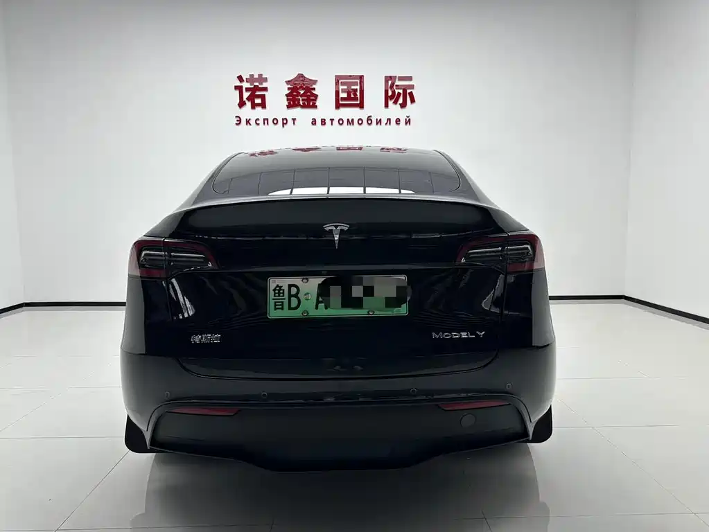 Tesla Model Y — миниатюра 5