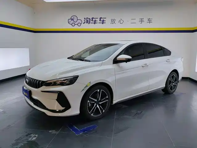 2024 Geely Binrui