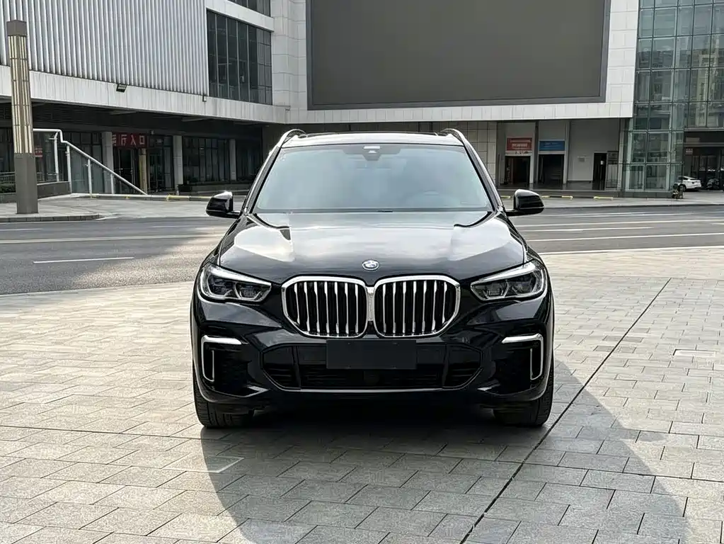BMW X5 — миниатюра 3