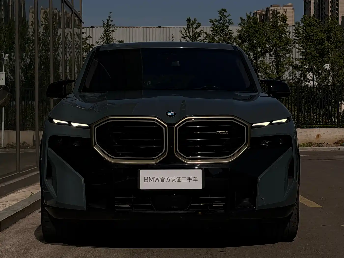 BMW XM