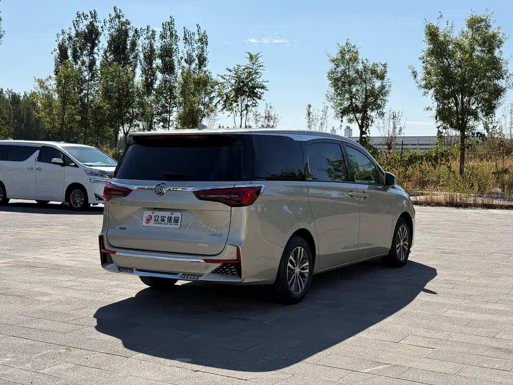 Buick GL8 — миниатюра 6