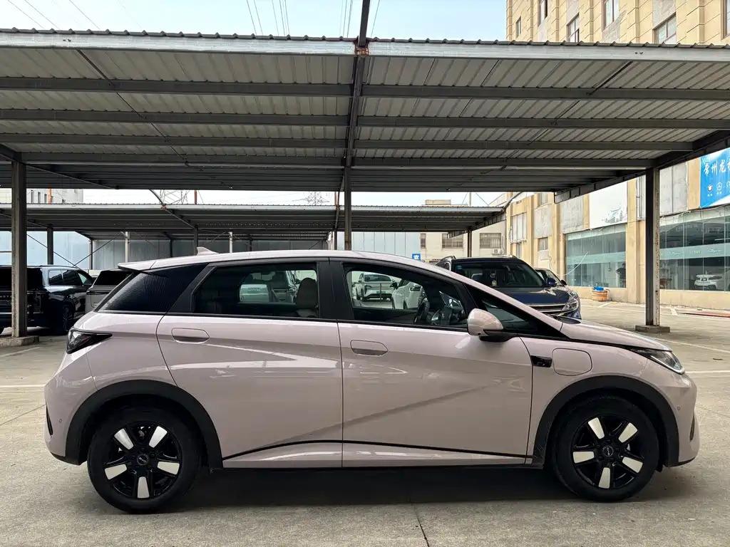 BYD Dolphin 2025 Smart Drive 410km Fashion