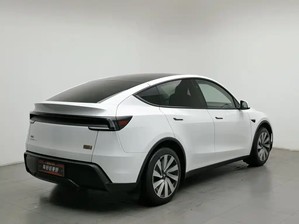 Tesla Model Y — миниатюра 2