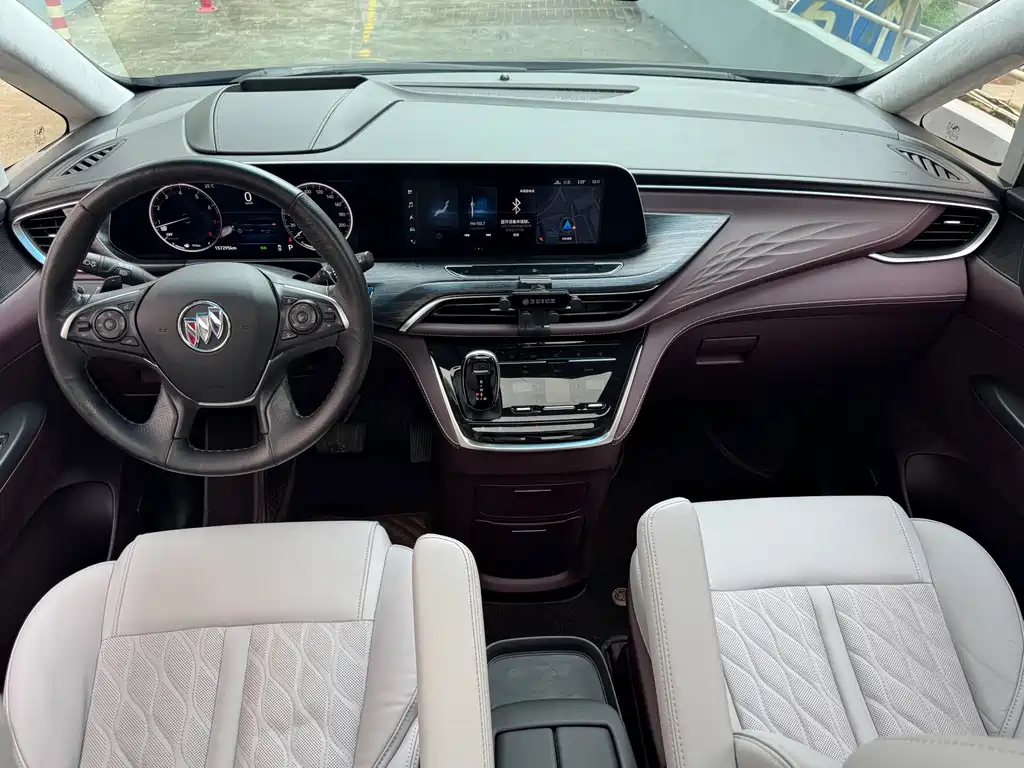 Buick GL8 — миниатюра 18