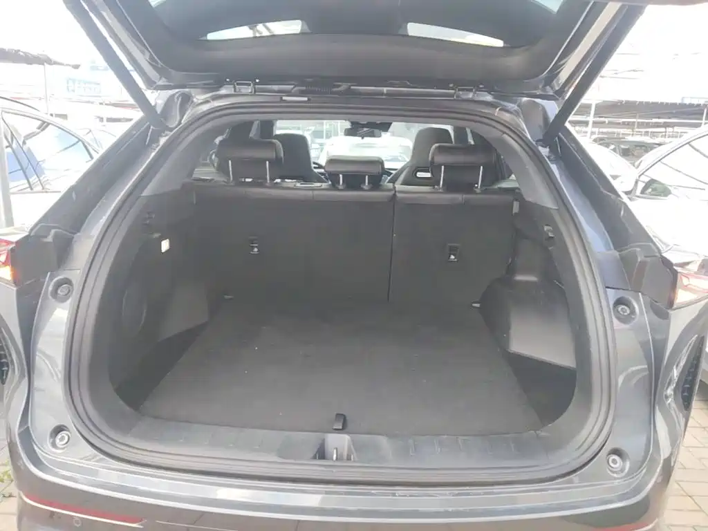 Oshan Oushang Z6 — миниатюра 19