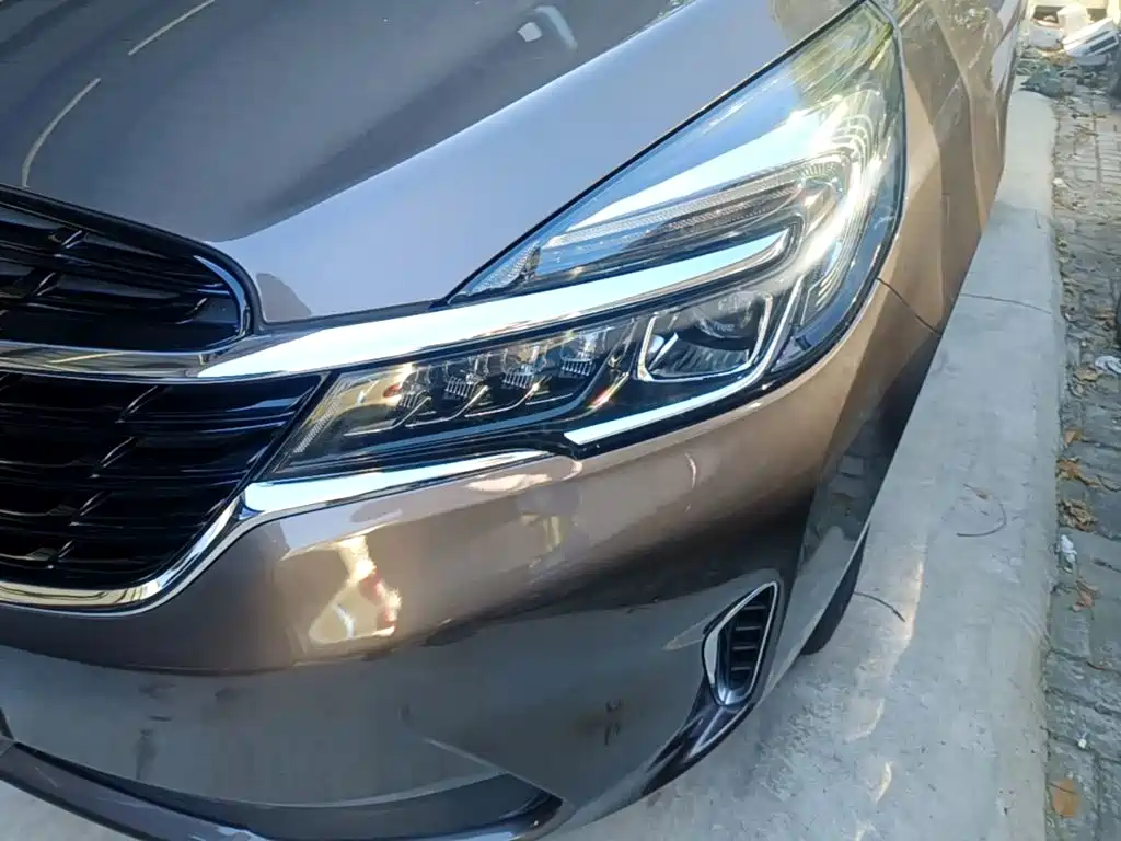 Buick GL8 — миниатюра 24