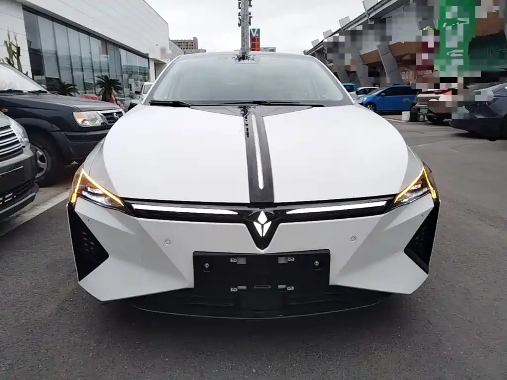 Lingxi Lingxi L — миниатюра 3