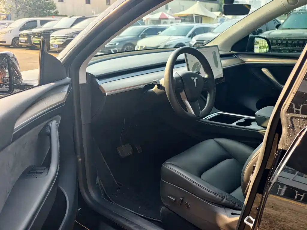 Tesla Model Y — миниатюра 9