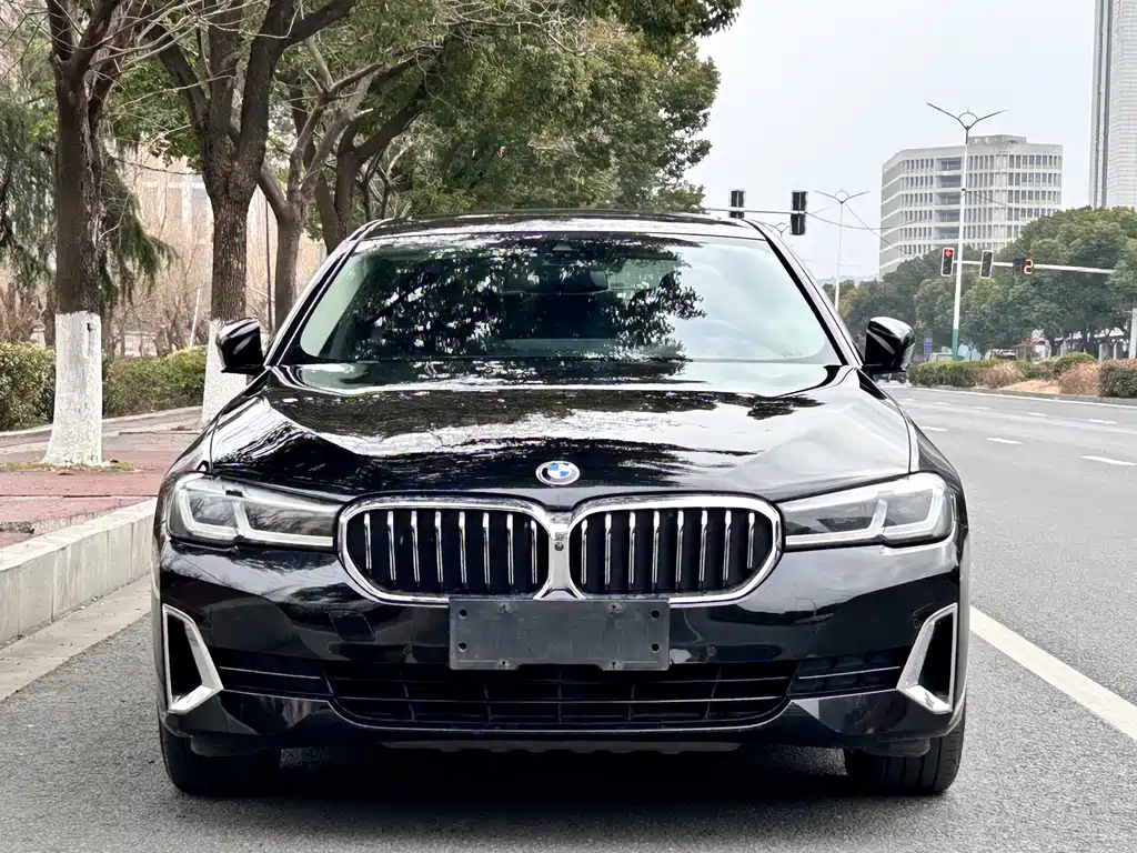 BMW 5 Series 5 2021 530Li Premium Luxury