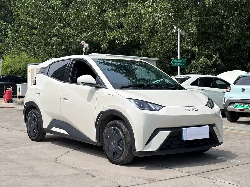 BYD Seagull 2024 305km