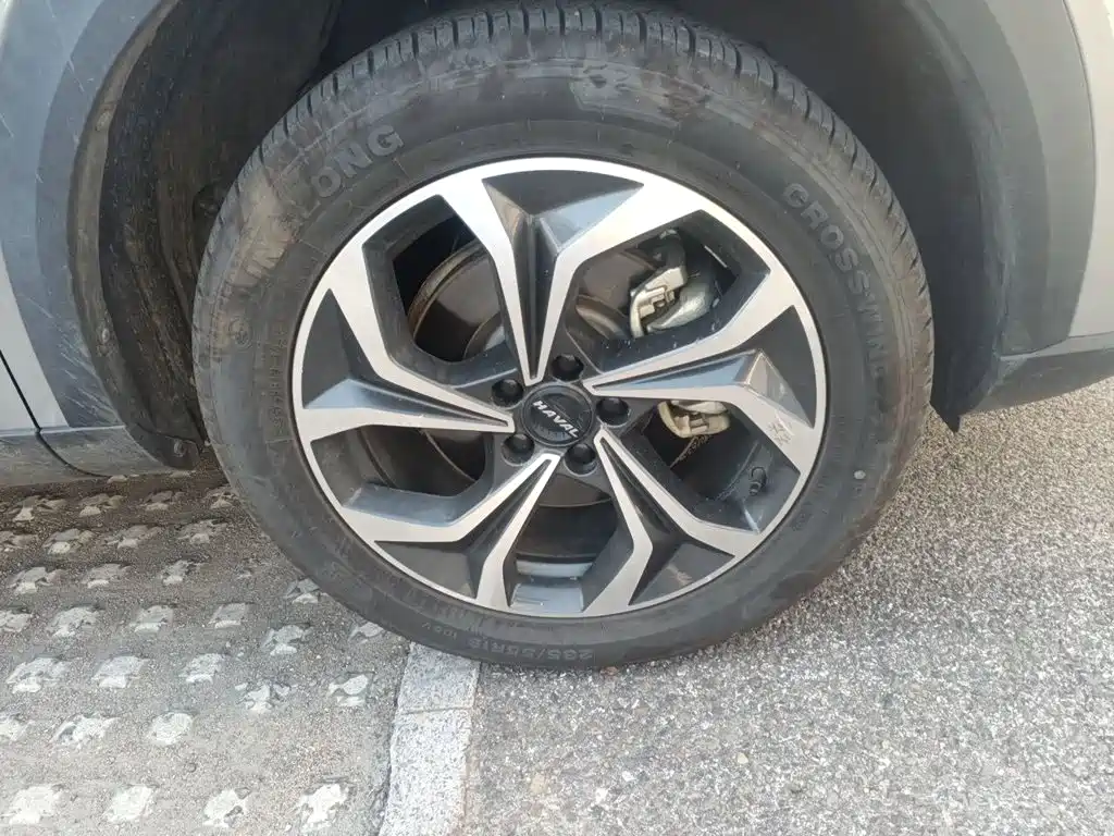 Haval Shenshou — миниатюра 24