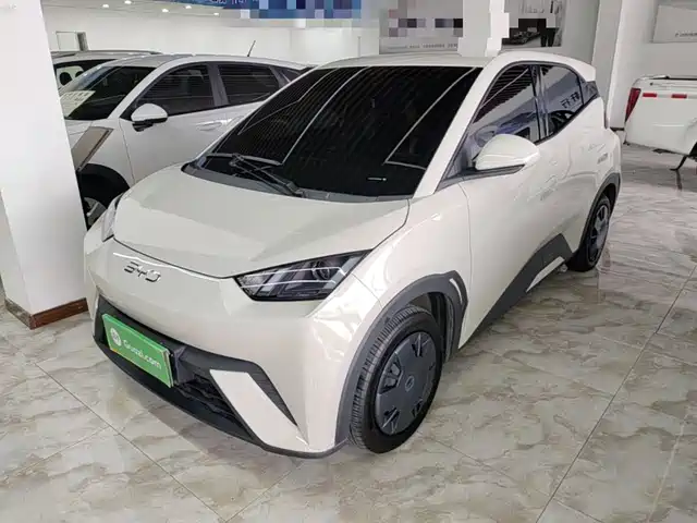 2025 BYD Seagull