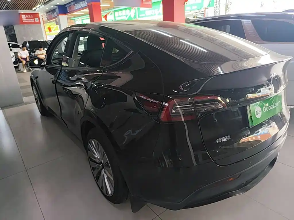 Tesla Model Y — миниатюра 5