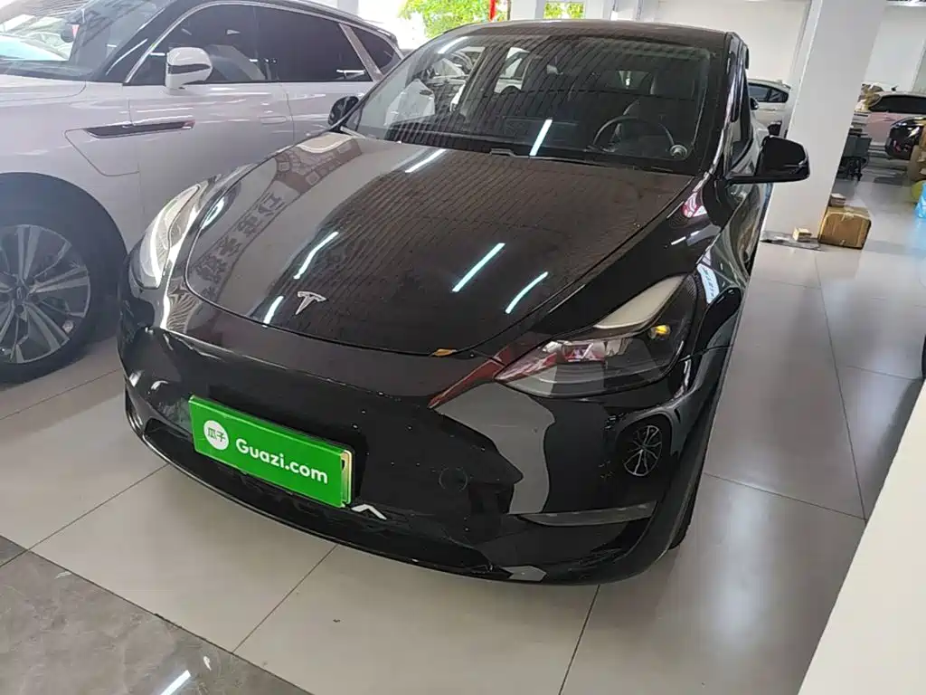 Tesla Model Y — миниатюра 2