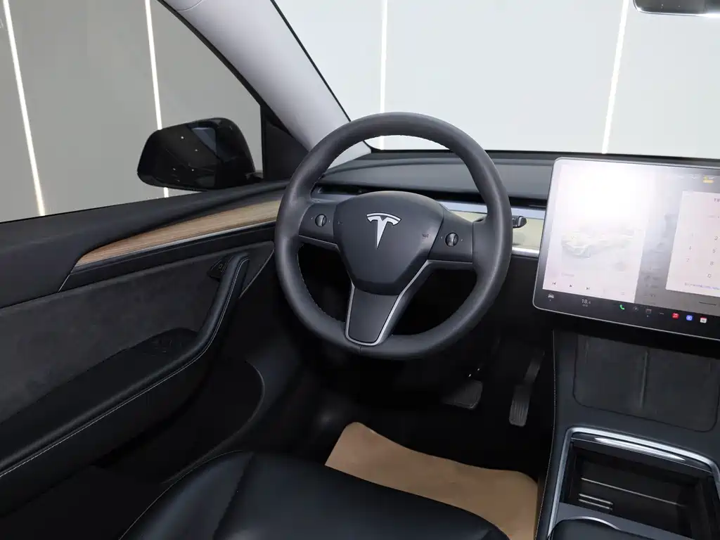 Tesla Model Y — миниатюра 25