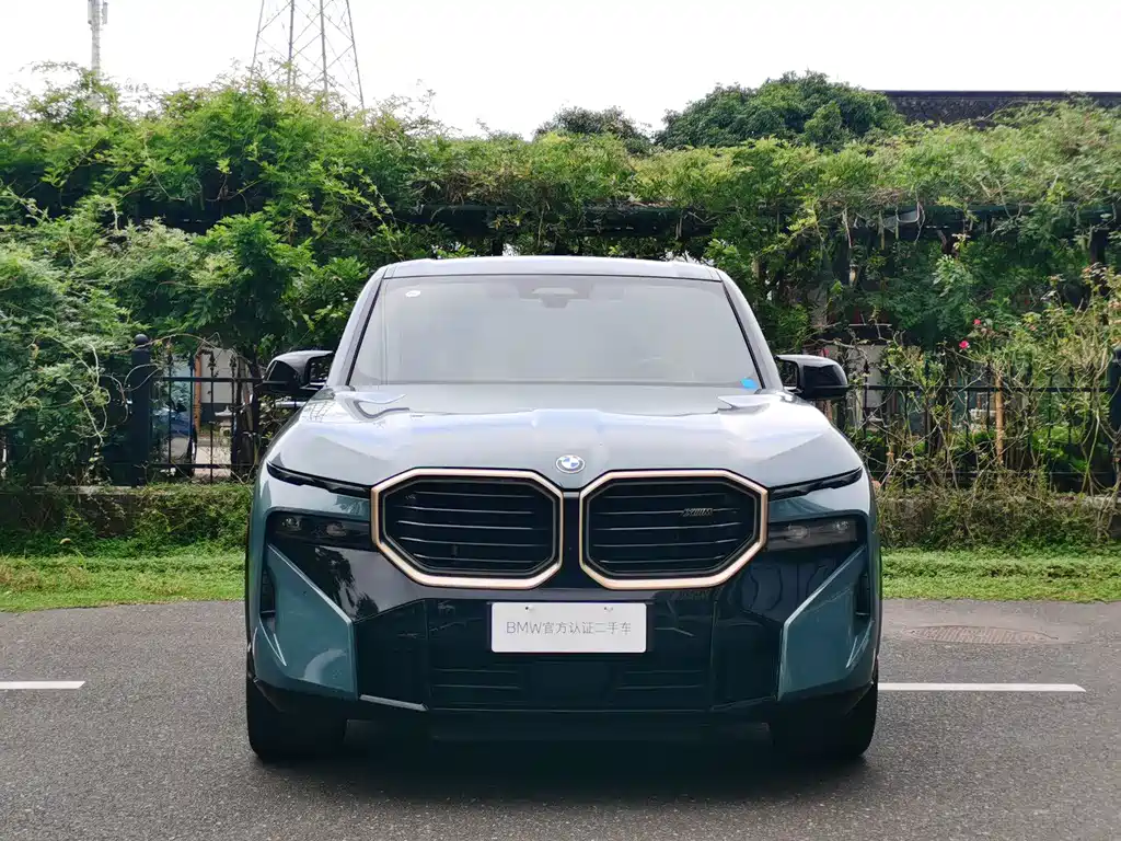 BMW XM — миниатюра 2