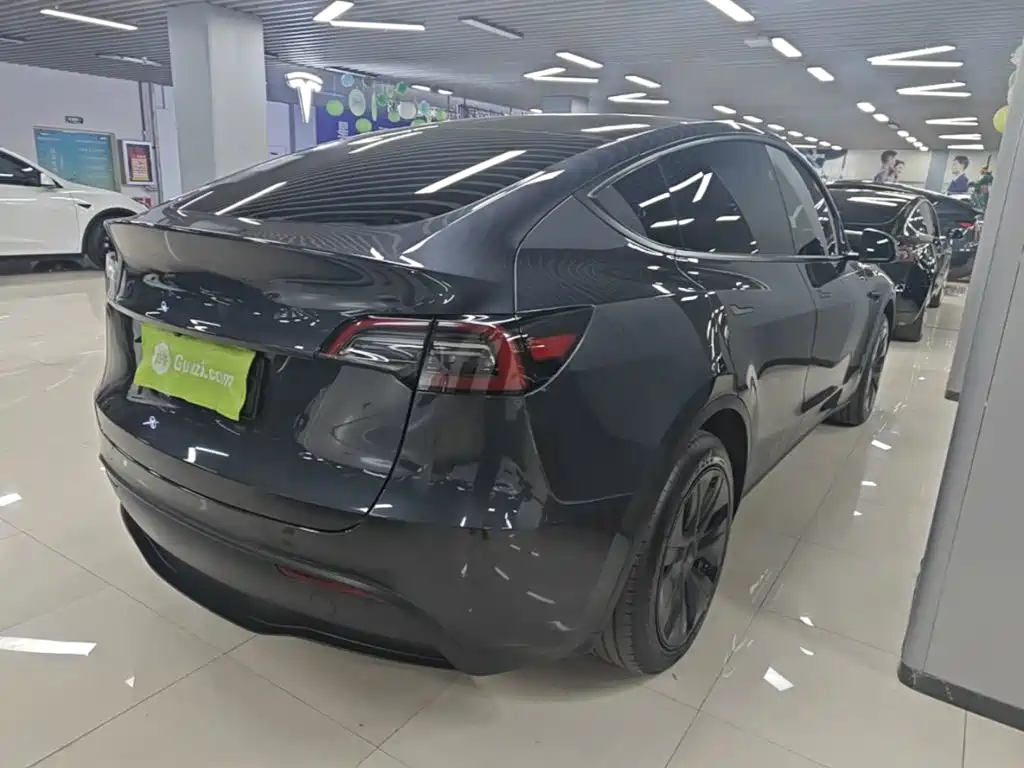 Tesla Model Y — миниатюра 7