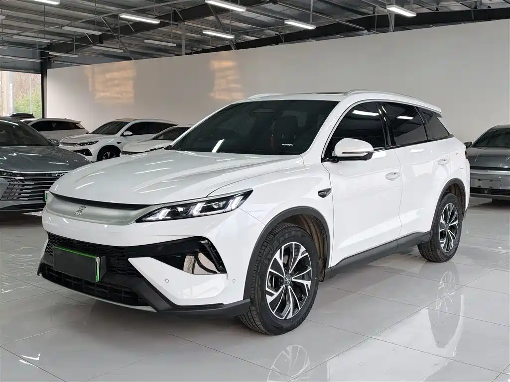 Byd Pro New Energy 2025