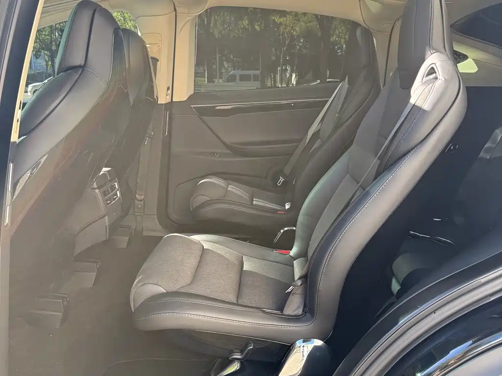 Tesla Model X — миниатюра 11