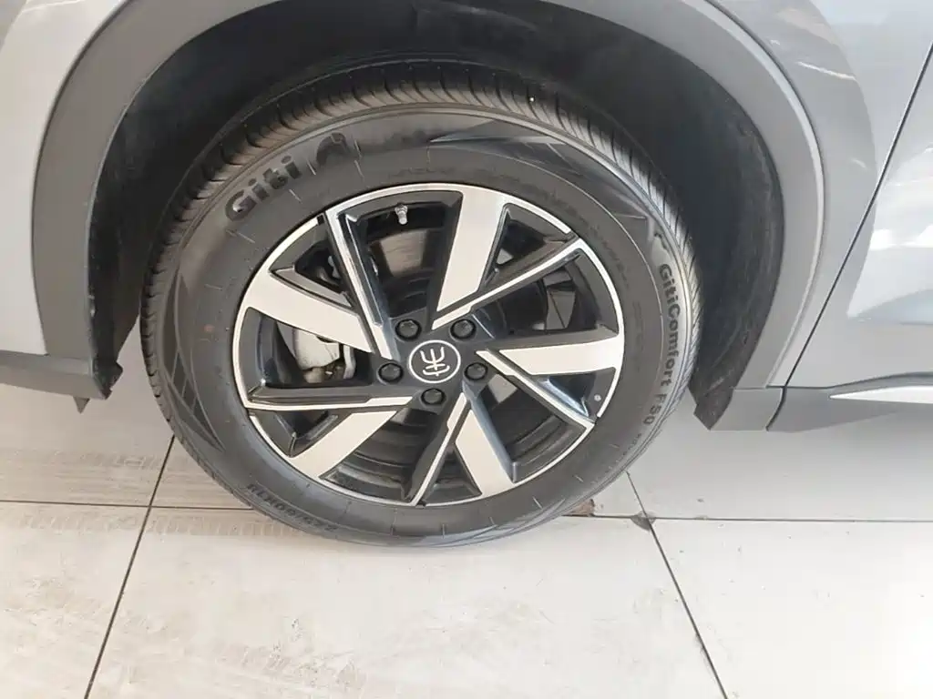 BYD Pro New Energy — миниатюра 23