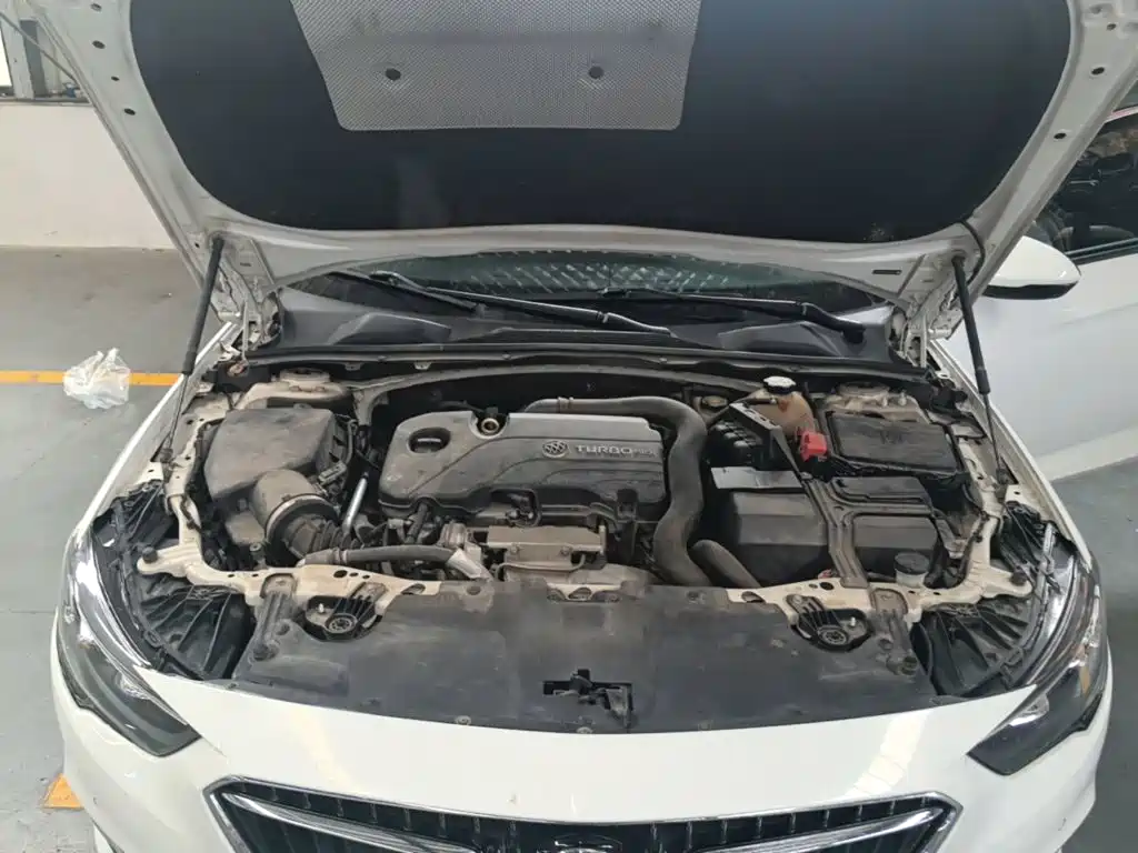 Buick Regal — миниатюра 20