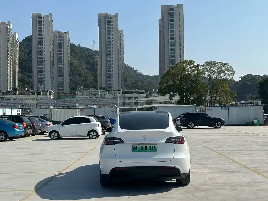 TESLA MODEL Y