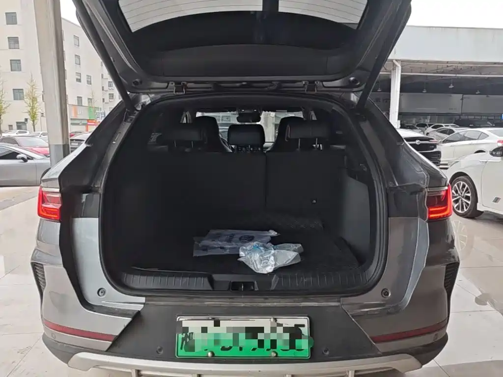 BYD PLUS New Energy — миниатюра 19