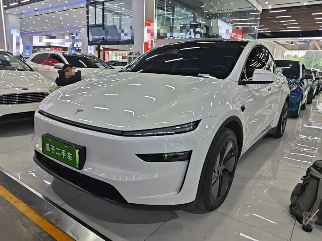 Tesla Model Y — миниатюра 2