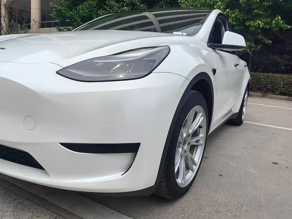 Tesla Model Y — миниатюра 3