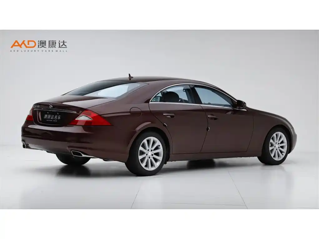 Mercedes-Benz CLS 2009 CLS 300