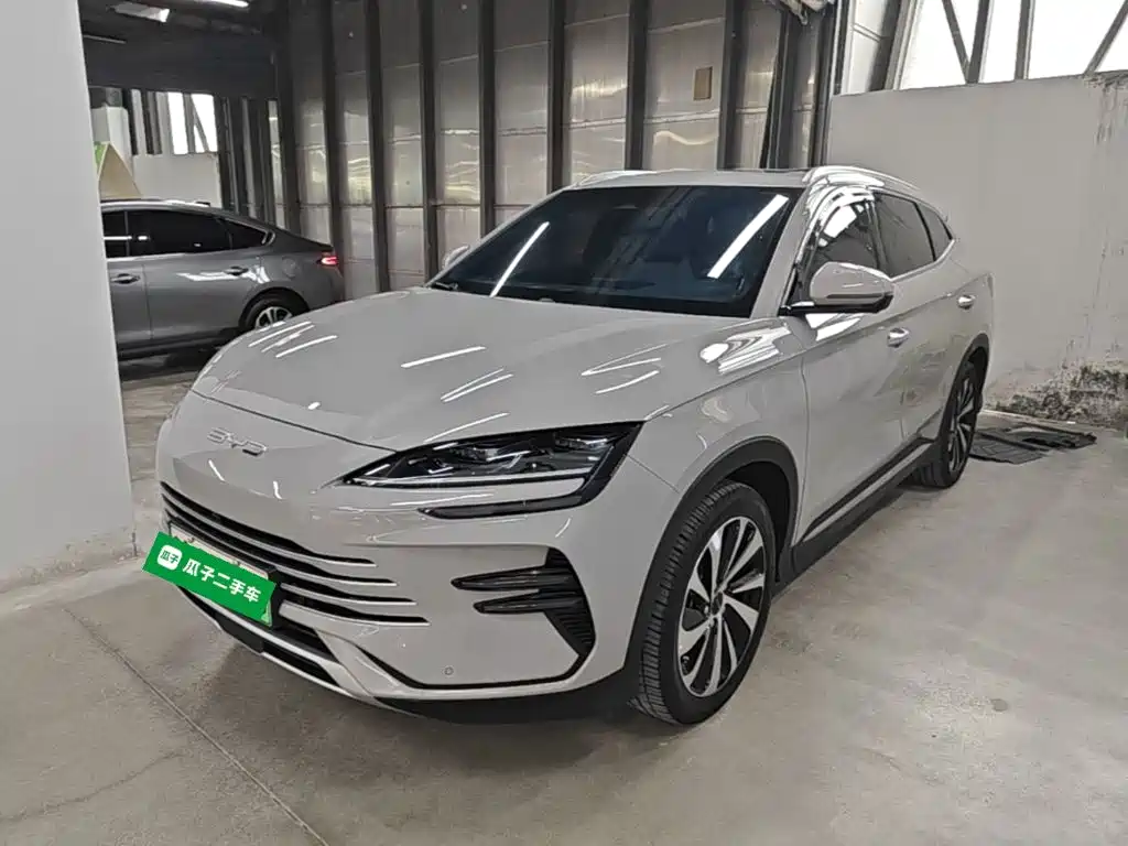 BYD PLUS New Energy — миниатюра 2