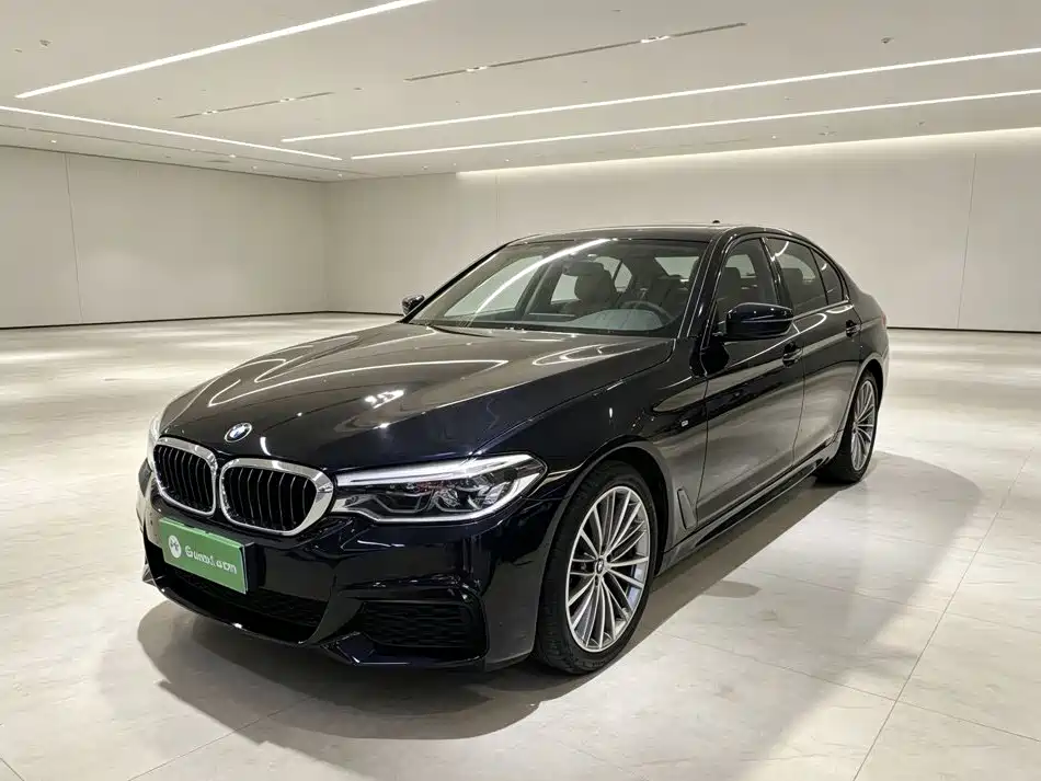 BMW 5 Series (Import) — миниатюра 2