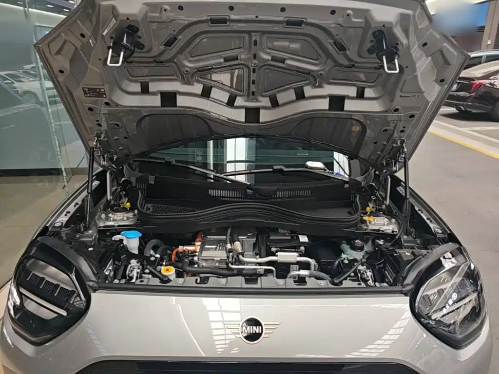 MINI MINI ACEMAN EV — миниатюра 20