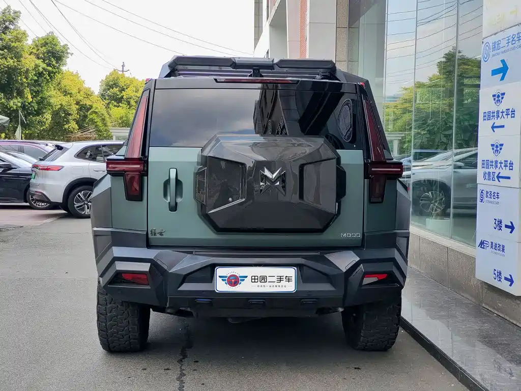 Mengshi Mengshi 917 — миниатюра 5
