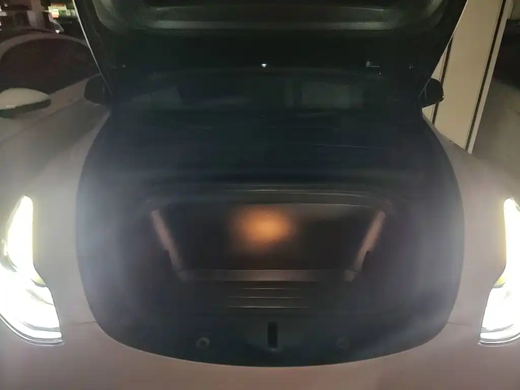 Tesla Model Y — миниатюра 20