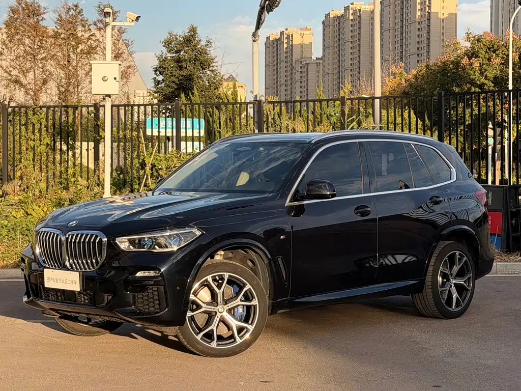 BMW X5 (Import) — миниатюра 2