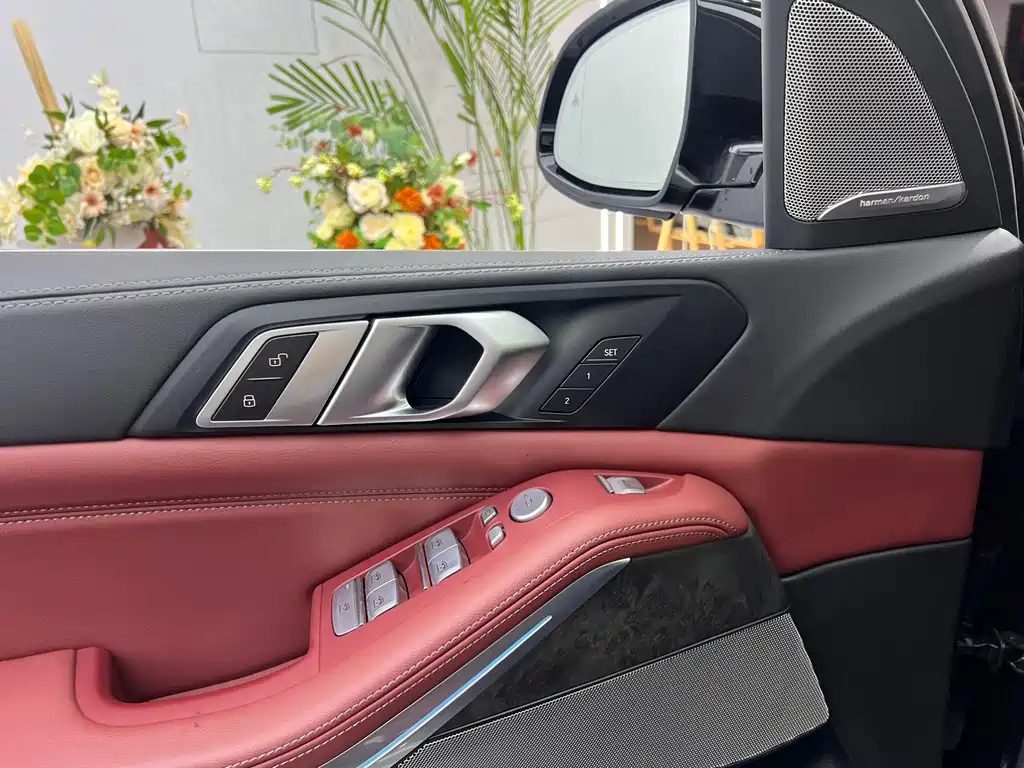 BMW X5 — миниатюра 10