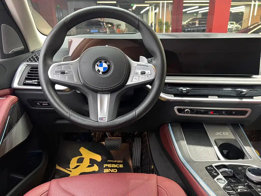 BMW X5 — миниатюра 13