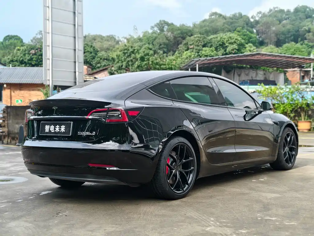 Tesla Model 3 — миниатюра 6