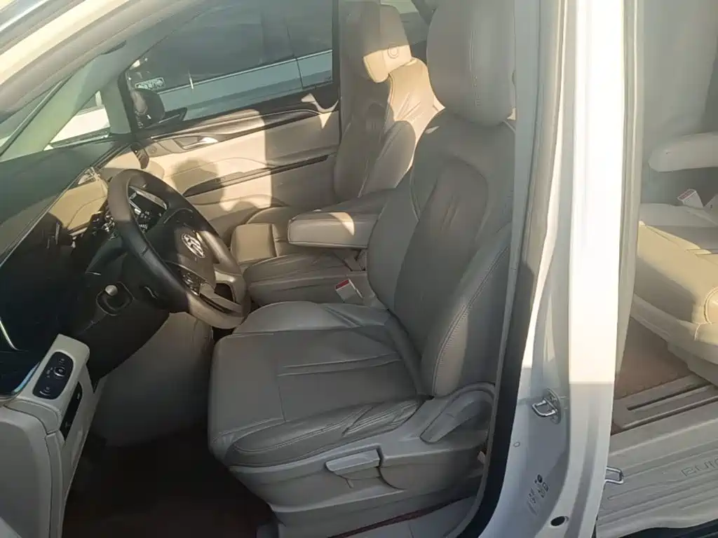Buick GL8 — миниатюра 15